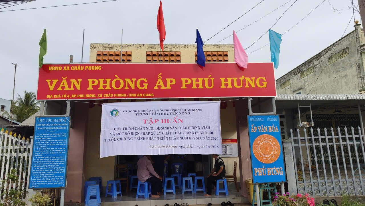 quang