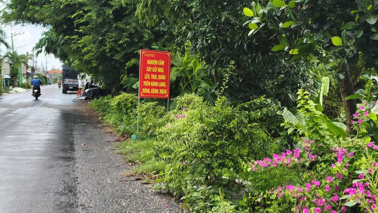 quang