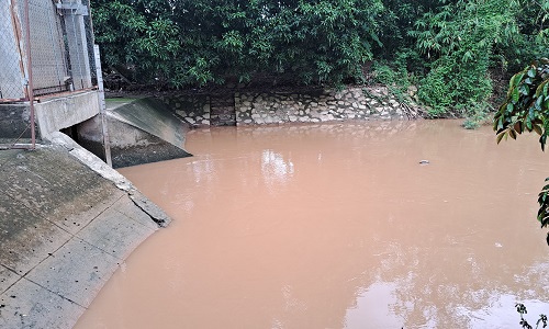 quang canh